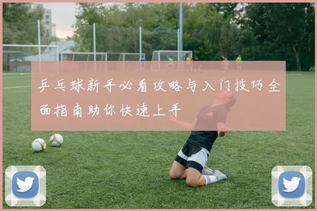 乒乓球新手必看攻略与入门技巧全面指南助你快速上手