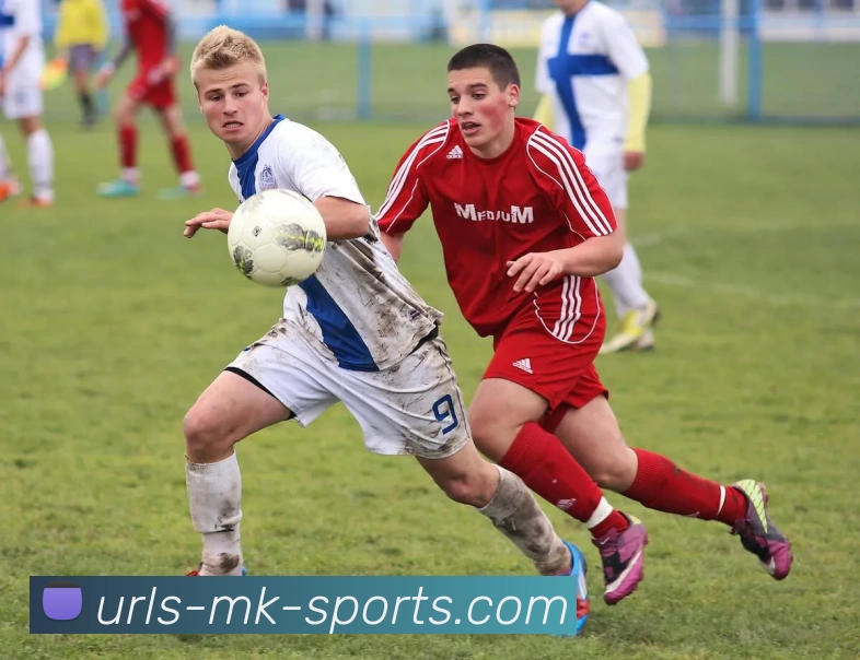 MK体育平台生态图