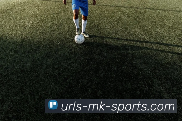 MK体育APP 封面图